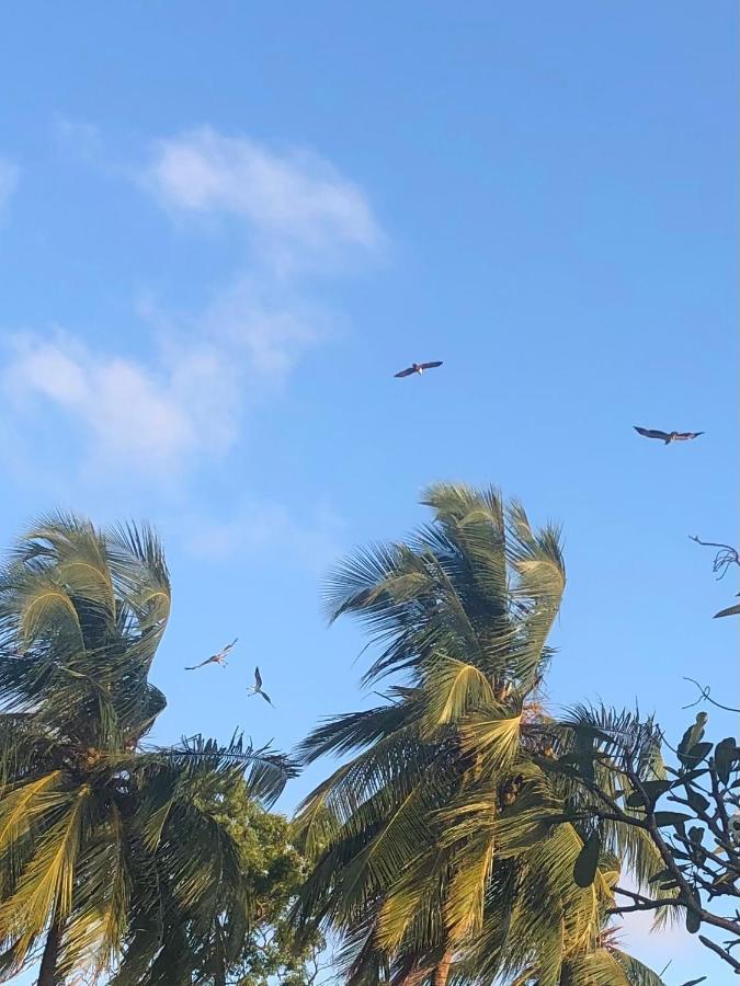 Moon Isle Beach Bungalow Nilaveli Bagian luar foto